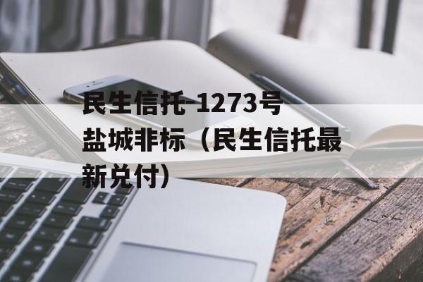 民生信托-1273号盐城非标（民生信托最新兑付）