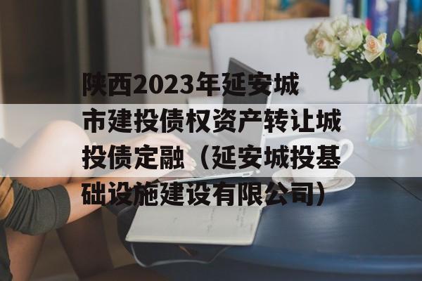 陕西2023年延安城市建投债权资产转让城投债定融（延安城投基础设施建设有限公司）