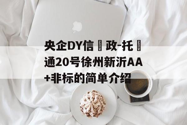 央企DY信‮政-托‬通20号徐州新沂AA+非标的简单介绍