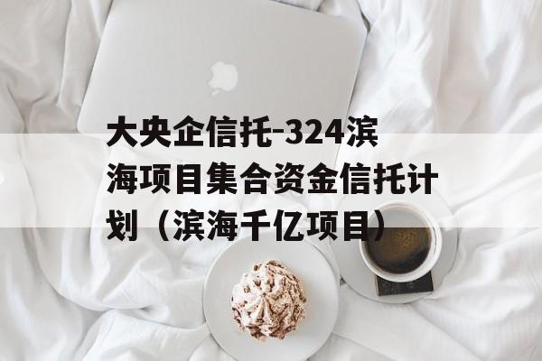 大央企信托-324滨海项目集合资金信托计划（滨海千亿项目）