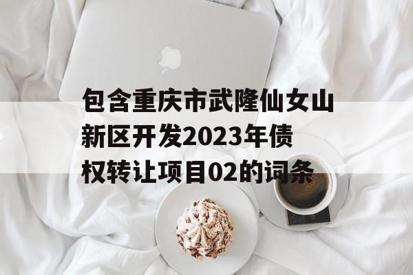 包含重庆市武隆仙女山新区开发2023年债权转让项目02的词条