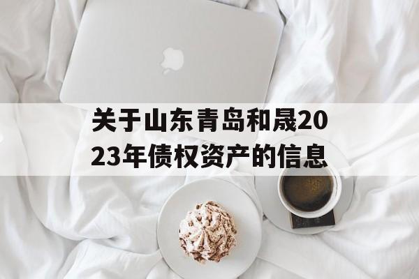 关于山东青岛和晟2023年债权资产的信息