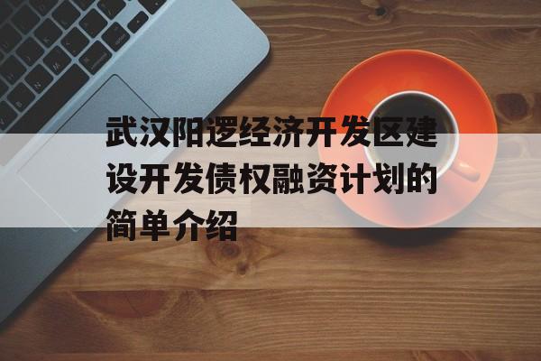 武汉阳逻经济开发区建设开发债权融资计划的简单介绍