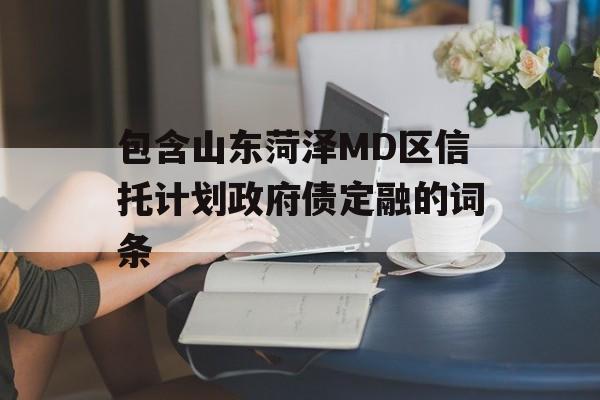 包含山东菏泽MD区信托计划政府债定融的词条