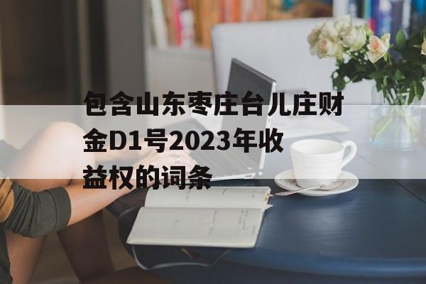 包含山东枣庄台儿庄财金D1号2023年收益权的词条