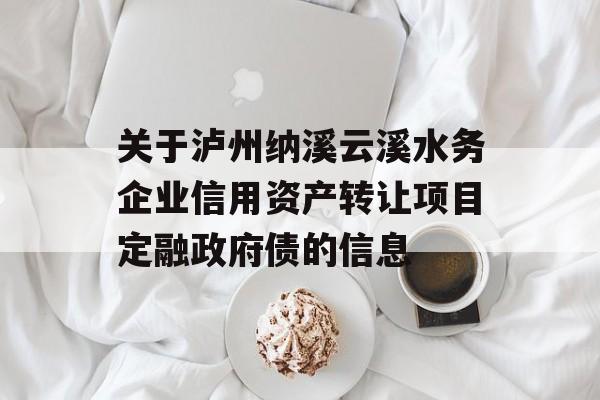 关于泸州纳溪云溪水务企业信用资产转让项目定融政府债的信息