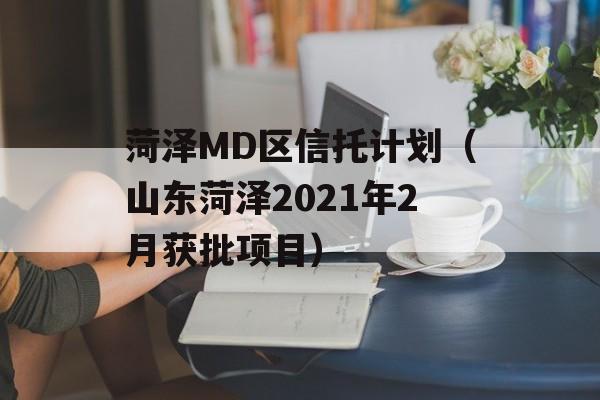 菏泽MD区信托计划（山东菏泽2021年2月获批项目）