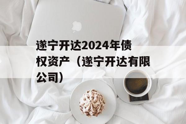 遂宁开达2024年债权资产（遂宁开达有限公司）