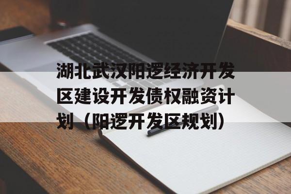 湖北武汉阳逻经济开发区建设开发债权融资计划（阳逻开发区规划）