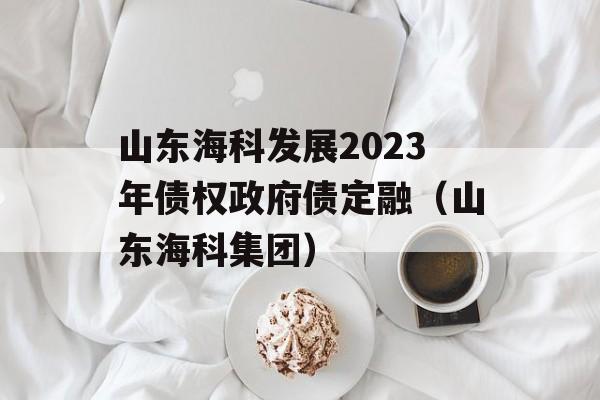 山东海科发展2023年债权政府债定融（山东海科集团）