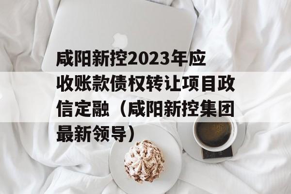 咸阳新控2023年应收账款债权转让项目政信定融（咸阳新控集团最新领导）