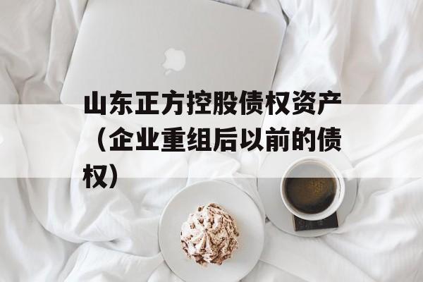 山东正方控股债权资产（企业重组后以前的债权）