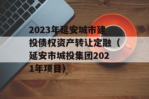 2023年延安城市建投债权资产转让定融（延安市城投集团2021年项目）