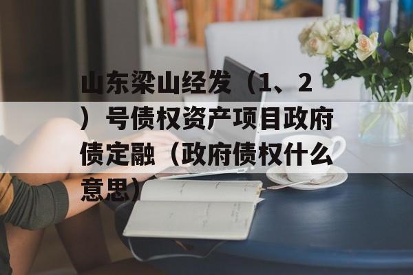 山东梁山经发（1、2）号债权资产项目政府债定融（政府债权什么意思）