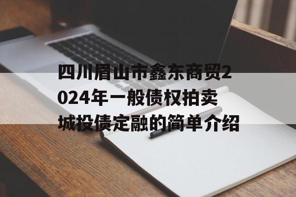 四川眉山市鑫东商贸2024年一般债权拍卖城投债定融的简单介绍