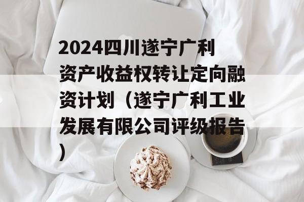 2024四川遂宁广利资产收益权转让定向融资计划（遂宁广利工业发展有限公司评级报告）