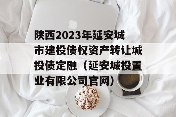 陕西2023年延安城市建投债权资产转让城投债定融（延安城投置业有限公司官网）