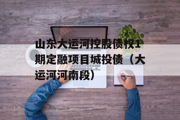 山东大运河控股债权1期定融项目城投债（大运河河南段）