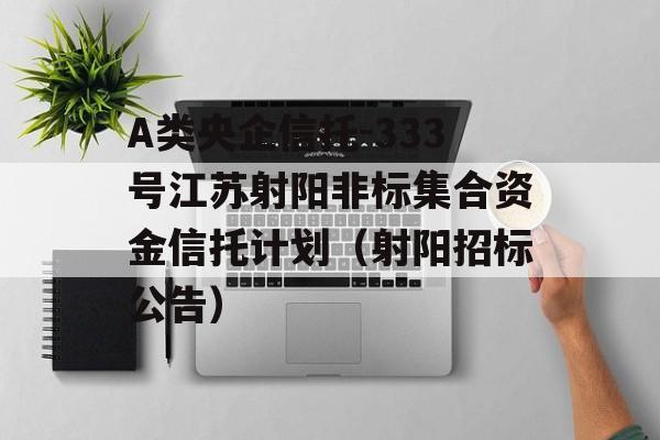 A类央企信托-333号江苏射阳非标集合资金信托计划（射阳招标公告）