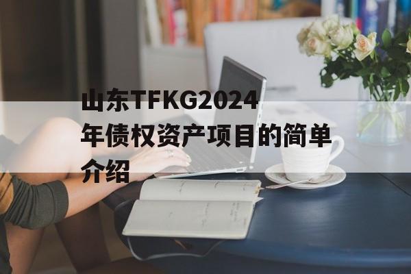 山东TFKG2024年债权资产项目的简单介绍