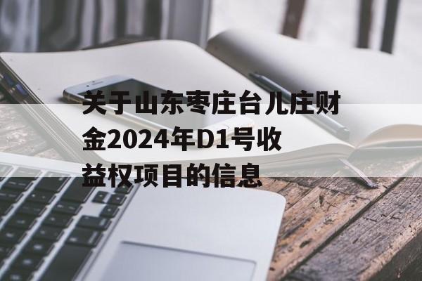 关于山东枣庄台儿庄财金2024年D1号收益权项目的信息