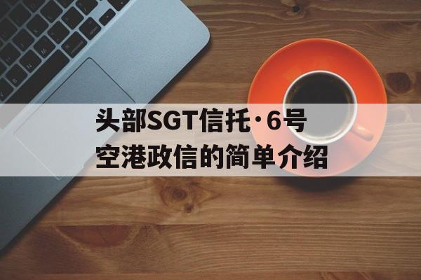 头部SGT信托·6号空港政信的简单介绍