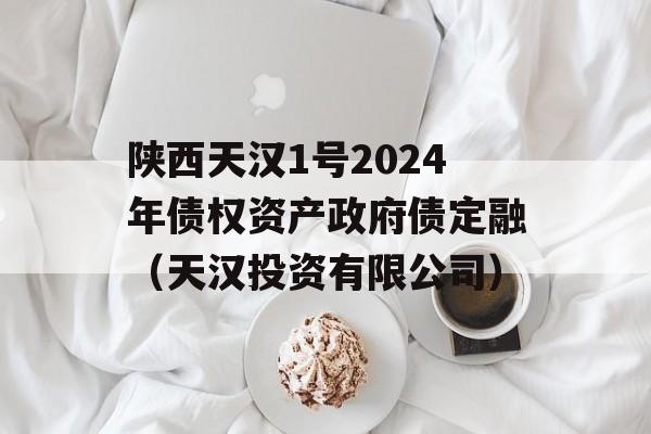 陕西天汉1号2024年债权资产政府债定融（天汉投资有限公司）