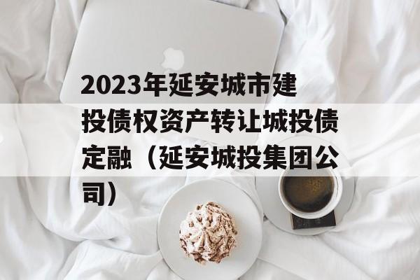 2023年延安城市建投债权资产转让城投债定融（延安城投集团公司）