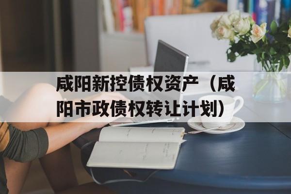 咸阳新控债权资产（咸阳市政债权转让计划）