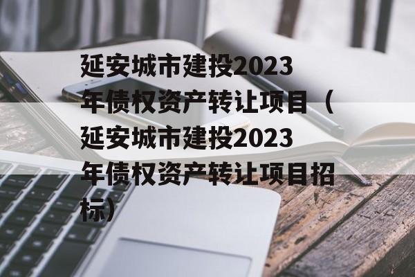 延安城市建投2023年债权资产转让项目（延安城市建投2023年债权资产转让项目招标）