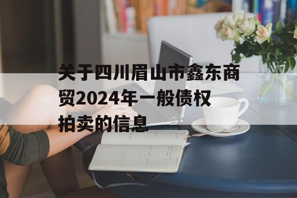 关于四川眉山市鑫东商贸2024年一般债权拍卖的信息