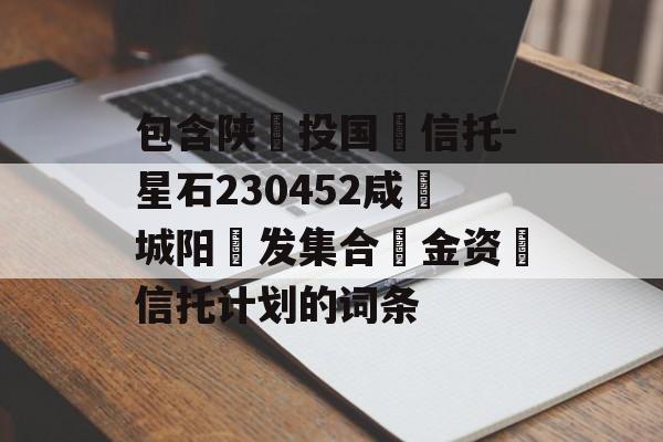 包含陕‮投国‬信托-星石230452咸‮城阳‬发集合‮金资‬信托计划的词条