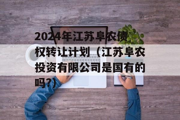 2024年江苏阜农债权转让计划（江苏阜农投资有限公司是国有的吗?）