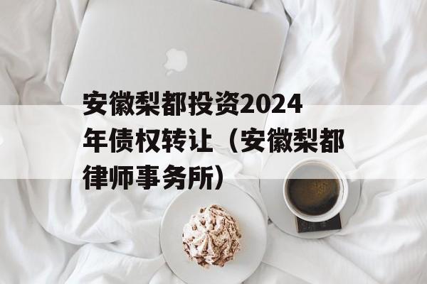 安徽梨都投资2024年债权转让（安徽梨都律师事务所）