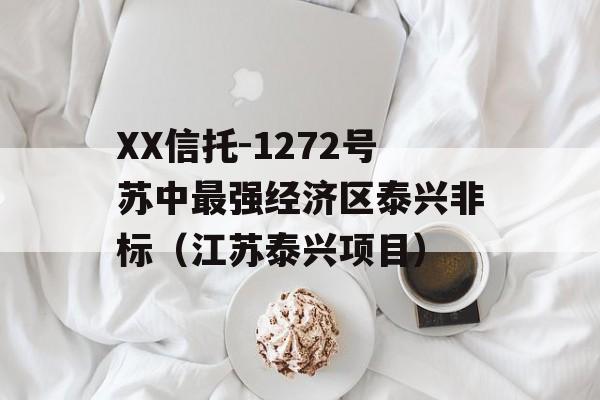 XX信托-1272号苏中最强经济区泰兴非标（江苏泰兴项目）