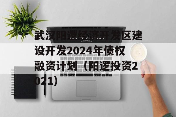 武汉阳逻经济开发区建设开发2024年债权融资计划（阳逻投资2021）