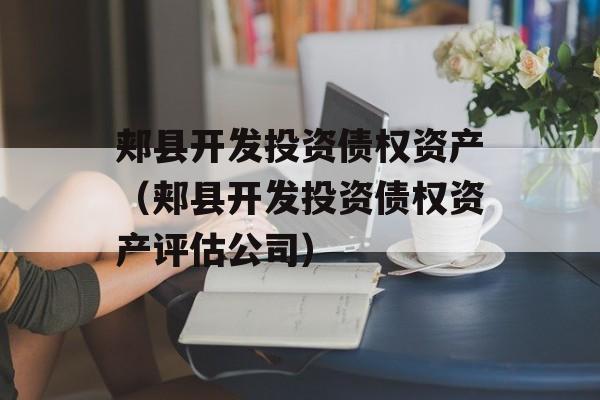 郏县开发投资债权资产（郏县开发投资债权资产评估公司）