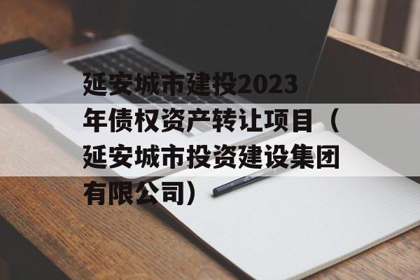 延安城市建投2023年债权资产转让项目（延安城市投资建设集团有限公司）