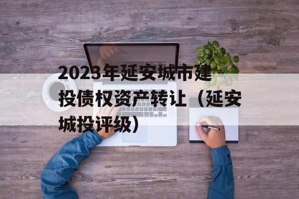 2023年延安城市建投债权资产转让（延安城投评级）