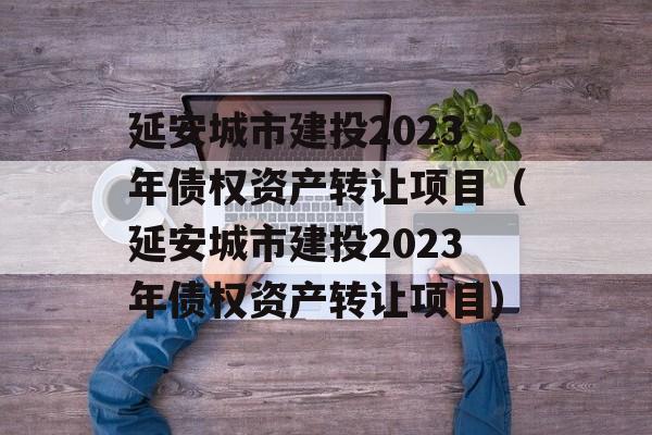 延安城市建投2023年债权资产转让项目（延安城市建投2023年债权资产转让项目）