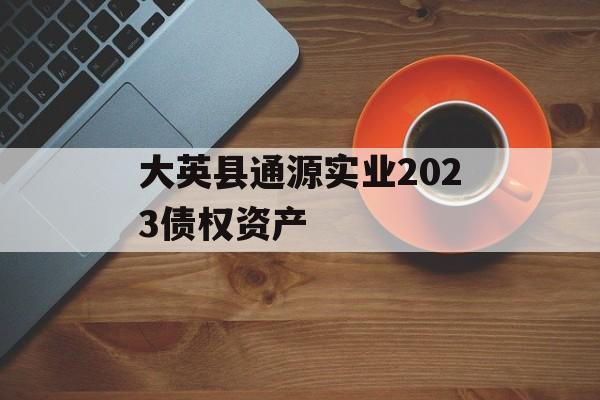 大英县通源实业2023债权资产