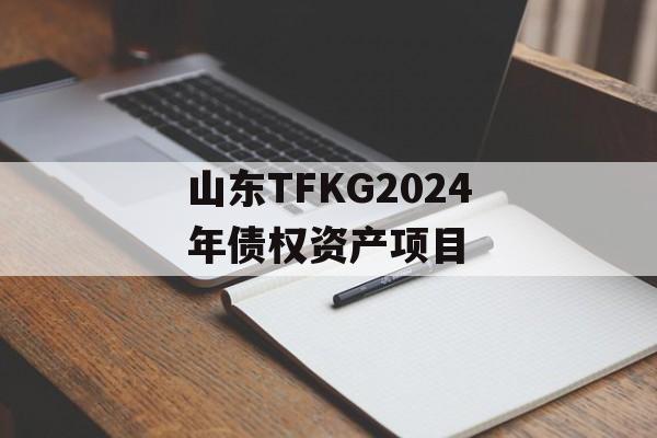 山东TFKG2024年债权资产项目