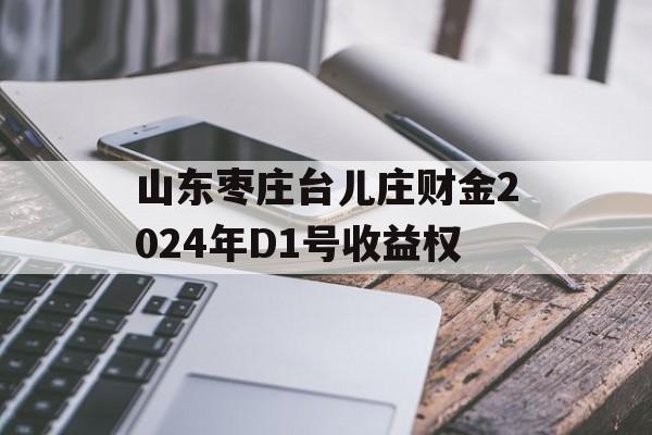 山东枣庄台儿庄财金2024年D1号收益权