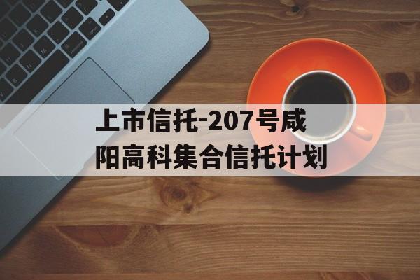 上市信托-207号咸阳高科集合信托计划