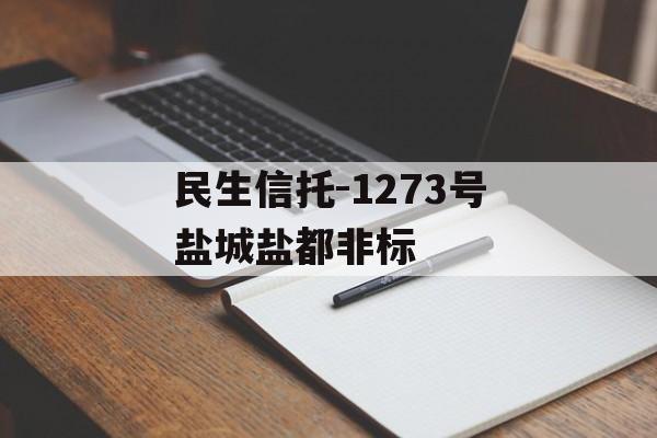 民生信托-1273号盐城盐都非标