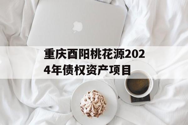 重庆酉阳桃花源2024年债权资产项目