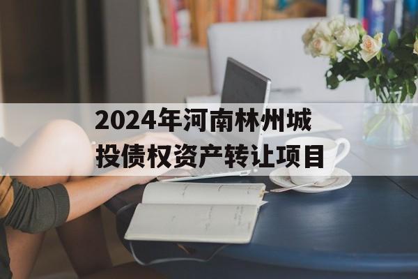 2024年河南林州城投债权资产转让项目