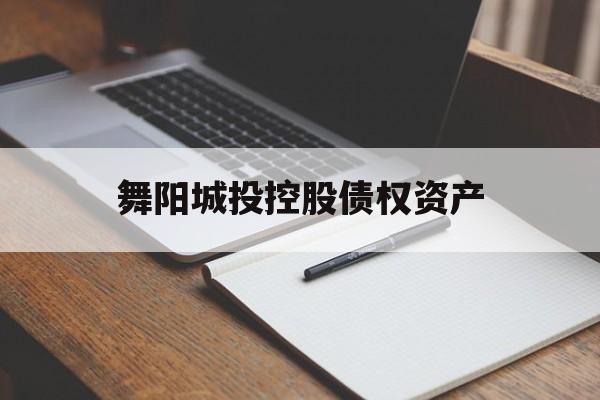 舞阳城投控股债权资产