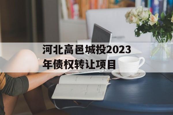 河北高邑城投2023年债权转让项目