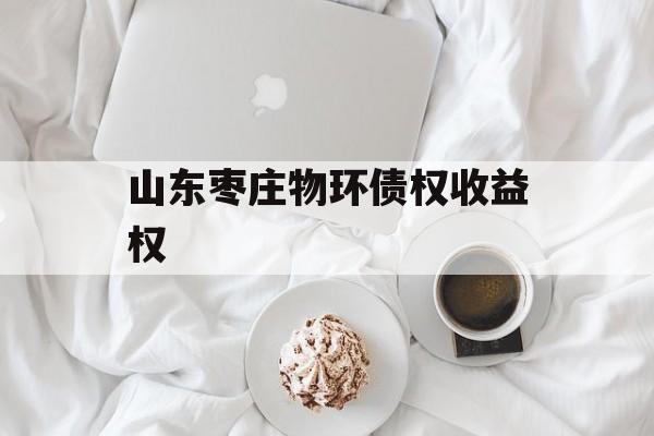 山东枣庄物环债权收益权